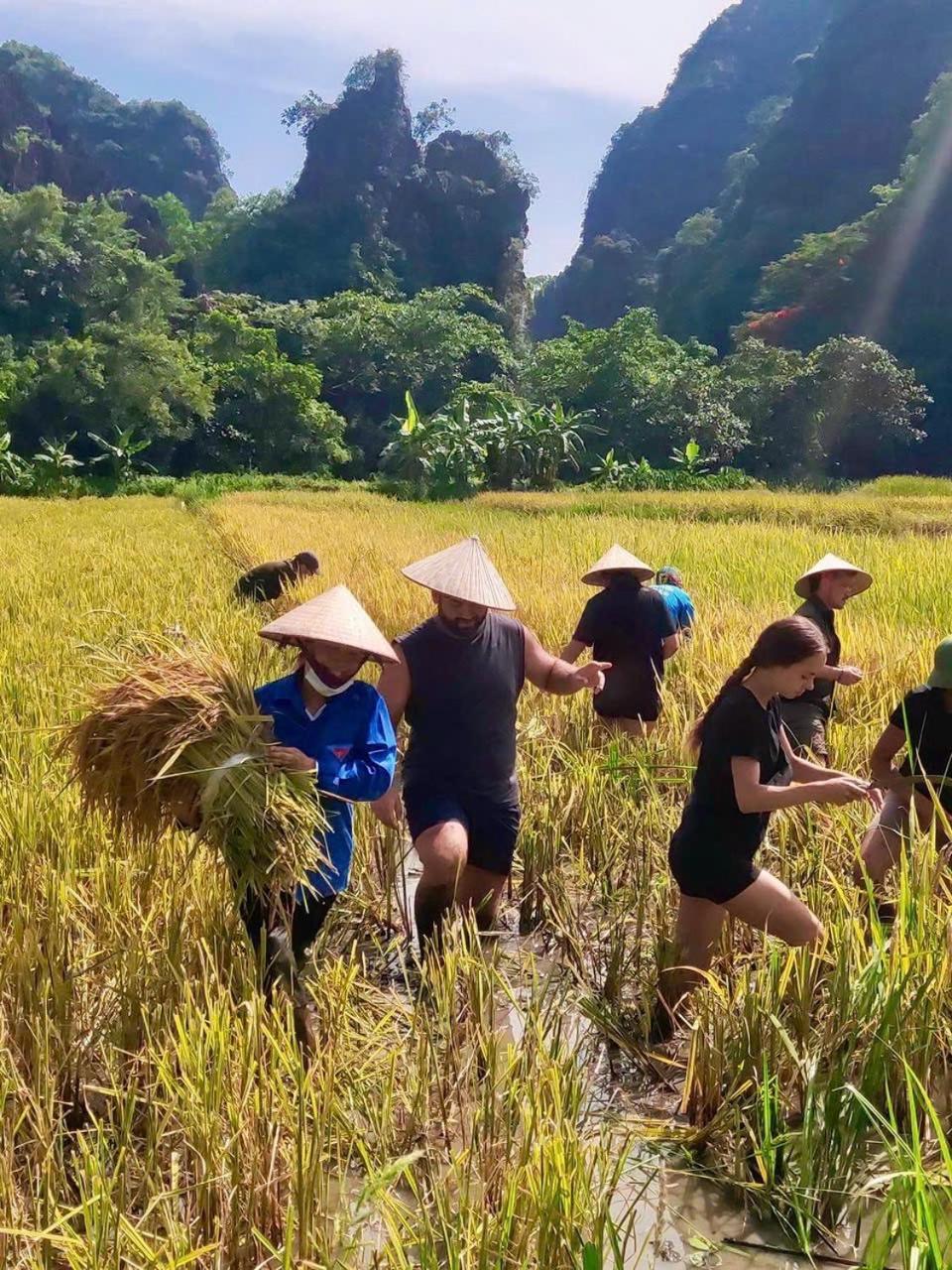 Viet Anh Homestay Ninh Binh Exterior foto